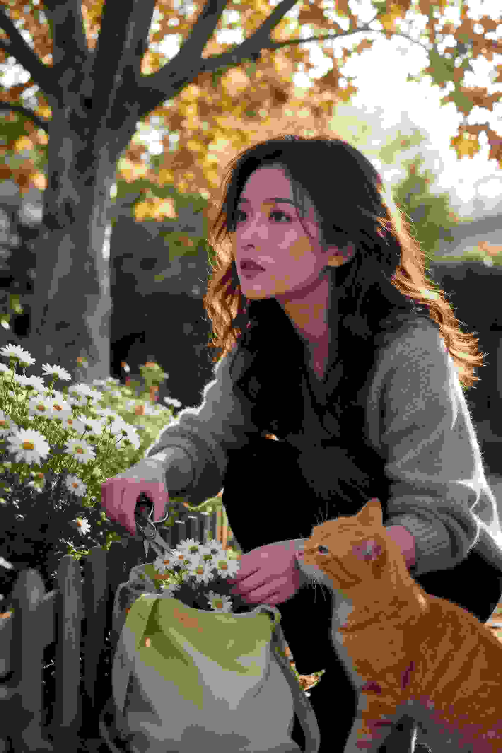 江山如画